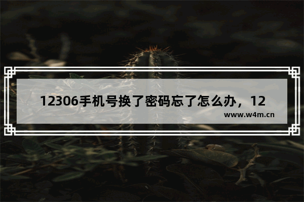 12306手机号换了密码忘了怎么办，12306手机号换了密码忘了怎么办5.2.1版本