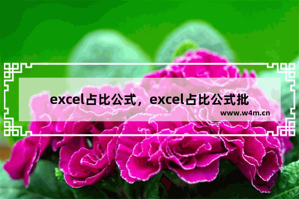 excel占比公式，excel占比公式批量设置