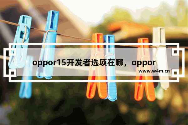 oppor15开发者选项在哪，oppor15开发者选项在哪里关闭