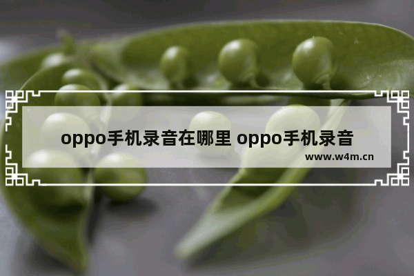 oppo手机录音在哪里 oppo手机录音在哪里找得到