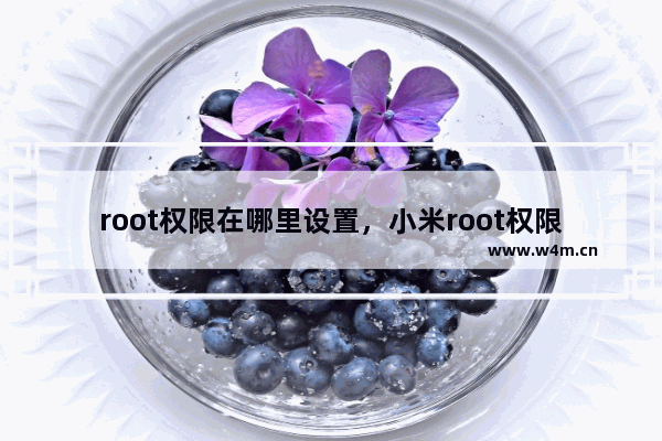 root权限在哪里设置，小米root权限在哪里设置