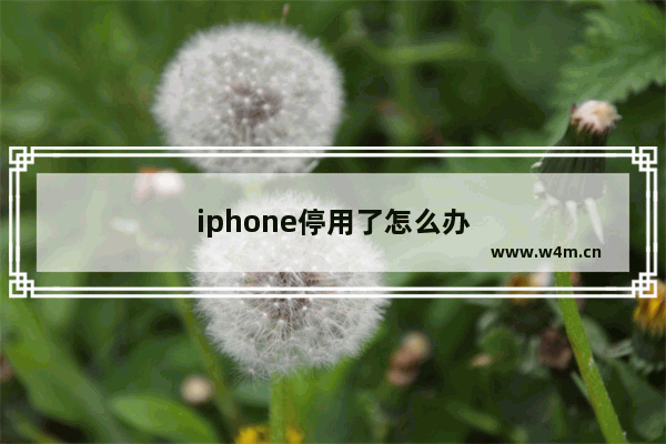 iphone停用了怎么办