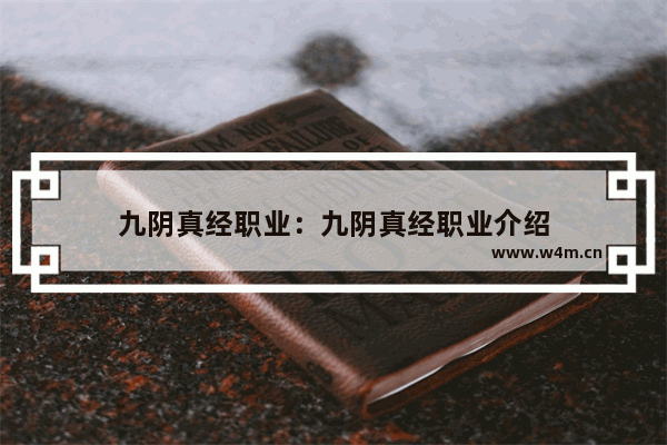 九阴真经职业：九阴真经职业介绍