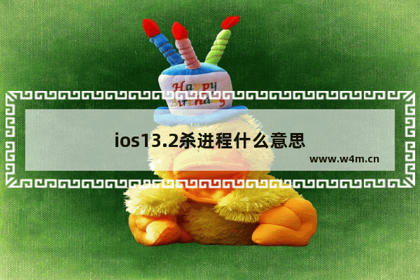 ios13.2杀进程什么意思