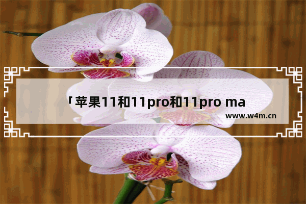 「苹果11和11pro和11pro max区别」(苹果11和11pro和11pro max区别大小)