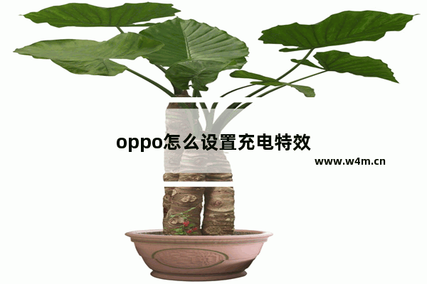 oppo怎么设置充电特效