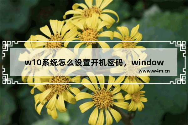 w10系统怎么设置开机密码，window10系统怎么设置开机密码