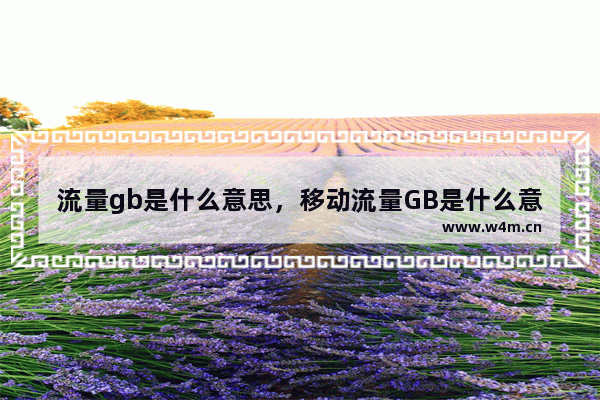 流量gb是什么意思，移动流量GB是什么意思