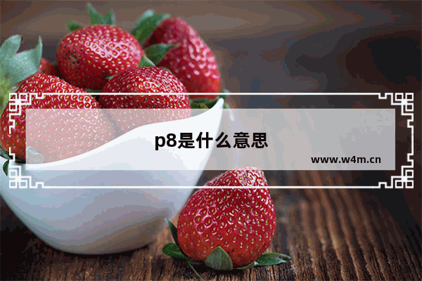 p8是什么意思