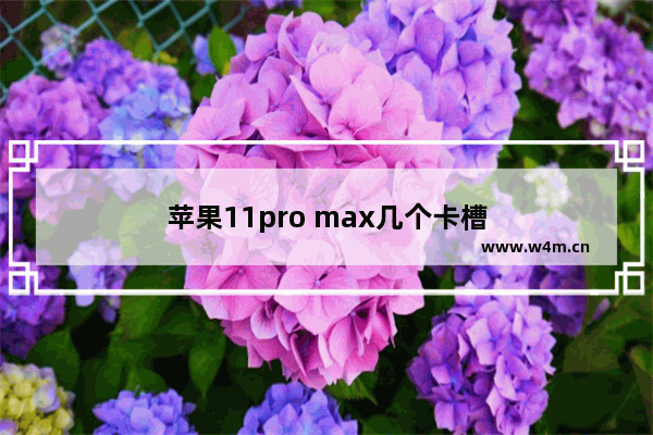 苹果11pro max几个卡槽