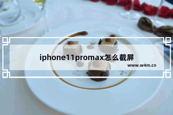 iphone11promax怎么截屏