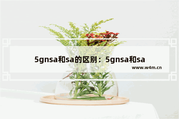 5gnsa和sa的区别：5gnsa和sa的区别哪个好