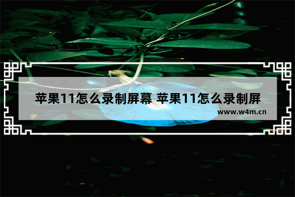 苹果11怎么录制屏幕 苹果11怎么录制屏幕视频