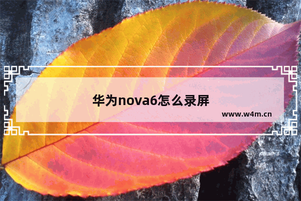 华为nova6怎么录屏