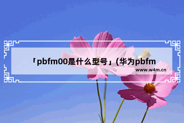 「pbfm00是什么型号」(华为pbfm00是什么型号)