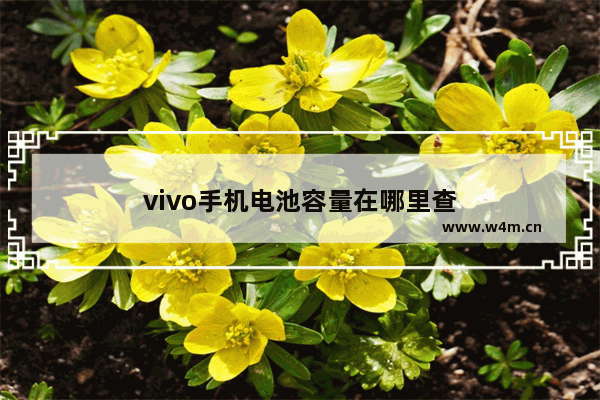 vivo手机电池容量在哪里查