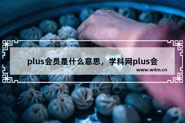 plus会员是什么意思，学科网plus会员是什么意思