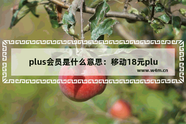 plus会员是什么意思：移动18元plus会员是什么意思