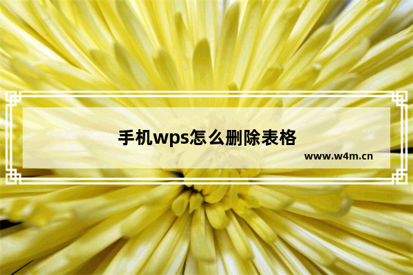 手机wps怎么删除表格