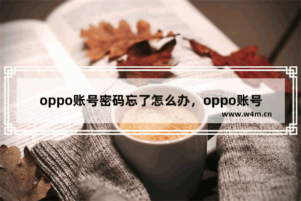 oppo账号密码忘了怎么办，oppo账号密码忘了怎么办?