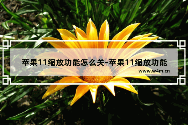 苹果11缩放功能怎么关-苹果11缩放功能怎么关闭