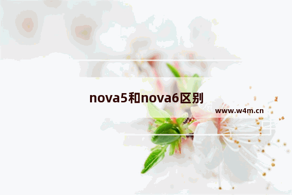 nova5和nova6区别