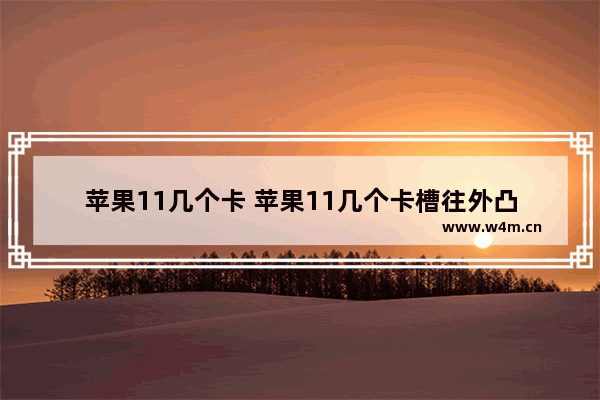 苹果11几个卡 苹果11几个卡槽往外凸