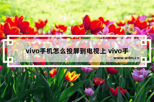 vivo手机怎么投屏到电视上 vivo手机怎么投屏到电视上全屏播放