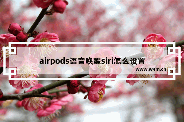 airpods语音唤醒siri怎么设置