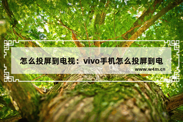 怎么投屏到电视：vivo手机怎么投屏到电视上全屏播放