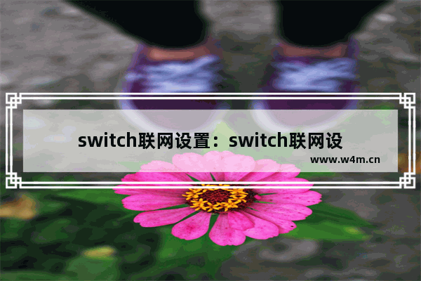 switch联网设置：switch联网设置MTU