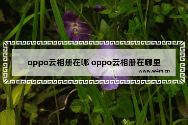 oppo云相册在哪 oppo云相册在哪里找照片