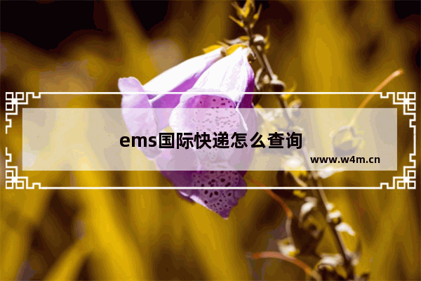 ems国际快递怎么查询