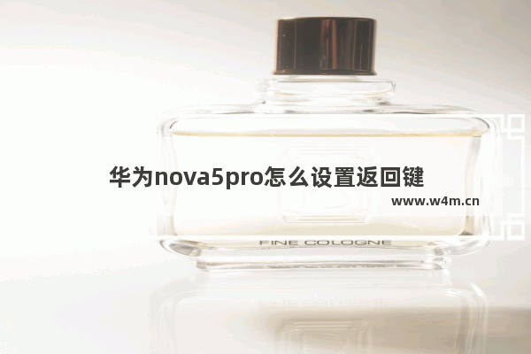 华为nova5pro怎么设置返回键