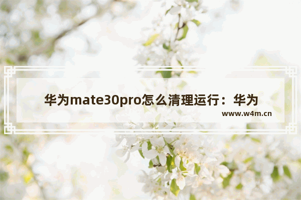 华为mate30pro怎么清理运行：华为mate30pro怎么清理运行程序