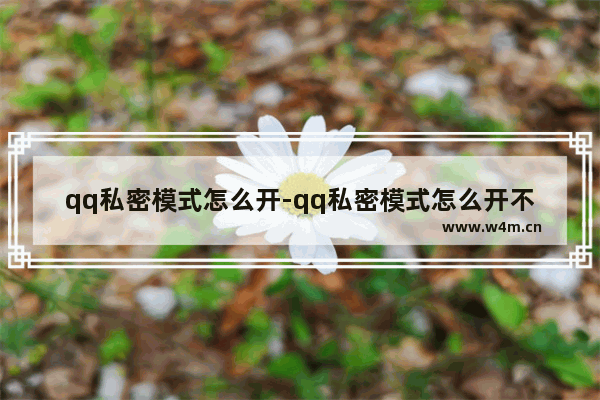 qq私密模式怎么开-qq私密模式怎么开不了