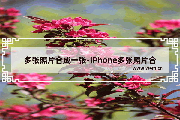 多张照片合成一张-iPhone多张照片合成一张长图