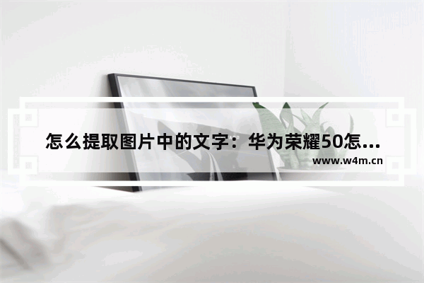 怎么提取图片中的文字：华为荣耀50怎么提取图片中的文字