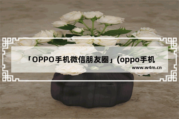 「OPPO手机微信朋友圈」(oppo手机微信朋友圈怎么删除)