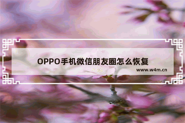 OPPO手机微信朋友圈怎么恢复