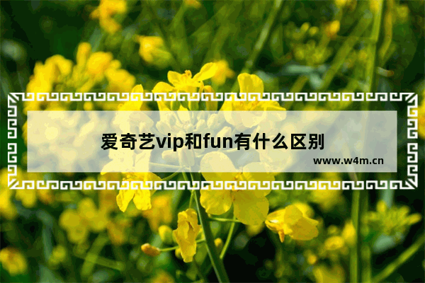 爱奇艺vip和fun有什么区别