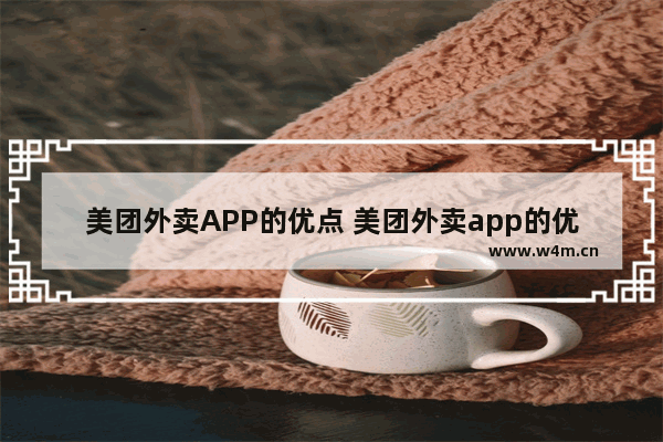 美团外卖APP的优点 美团外卖app的优点和缺点