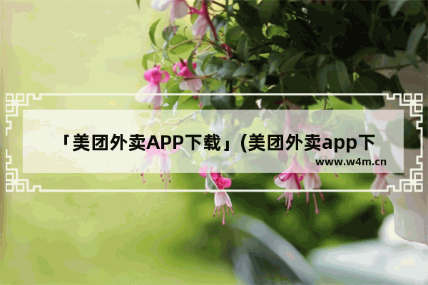 「美团外卖APP下载」(美团外卖app下载官方网站下载安装联邦阿莫仙)