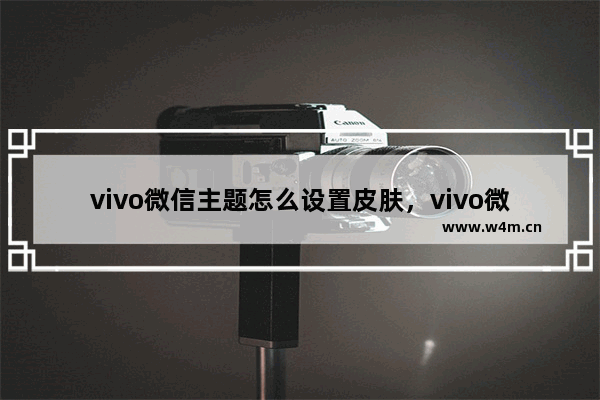 vivo微信主题怎么设置皮肤，vivo微信主题怎么设置皮肤为黑色