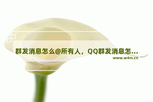 群发消息怎么@所有人，QQ群发消息怎么@所有人