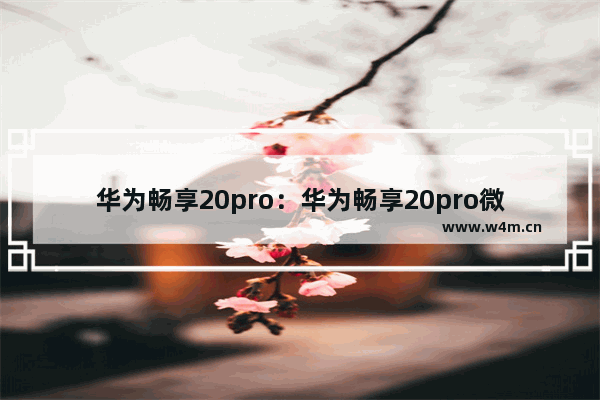 华为畅享20pro：华为畅享20pro微信视频美颜怎么设置