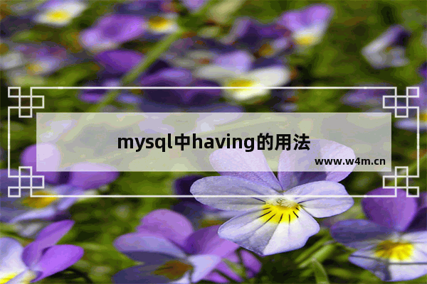 mysql中having的用法