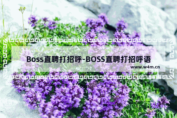 Boss直聘打招呼-BOSS直聘打招呼语