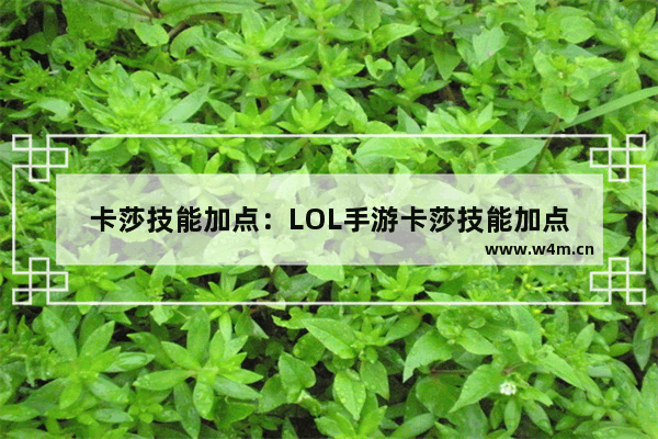 卡莎技能加点：LOL手游卡莎技能加点