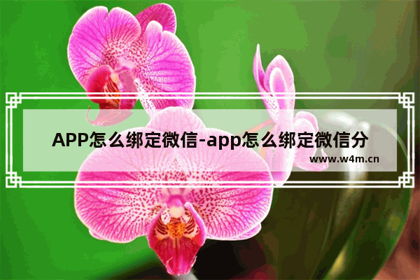 APP怎么绑定微信-app怎么绑定微信分身